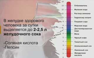Состав желудочного сока человека