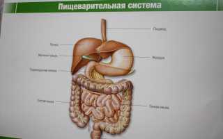 Эрозивный бульбит: симптомы и лечение медикаментами, народными средствами, диета