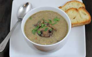 Разрешено ли маме на грудном вскармливании употреблять в пищу грибной суп? Мнение врачей