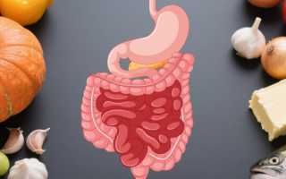 Питание при полипе желудка — что можно и нельзя есть?