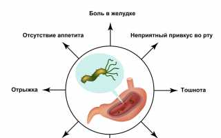 Бактерия Хеликобактер пилори в желудке: причины появления