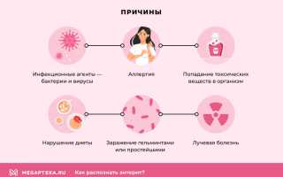 Острый и хронический энтерит: причины, симптомы и лечение у людей