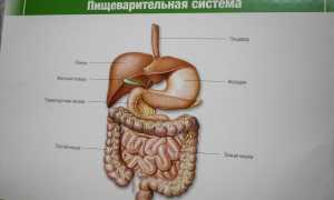 Симптомы и лечение эрозивного гастродуоденита препаратами, народными средствами, диета