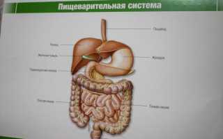 Симптомы и лечение эрозивного гастродуоденита препаратами, народными средствами, диета