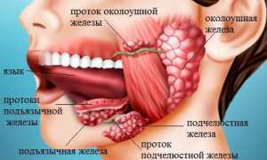 Заболевания слюнных желез: симптомы, лечение, диагностика в стоматологии
