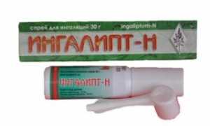 Ингалипт: инструкция