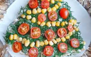 Новогоднее диетическое меню – низкокалорийные, простые, необычные и вкусные блюда