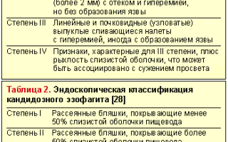 Кандидоз пищевода: лечение и причины микоза. Чем лечить грибок на слизистой?