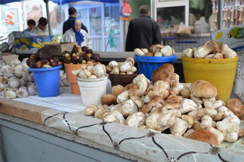 грибы на рынке