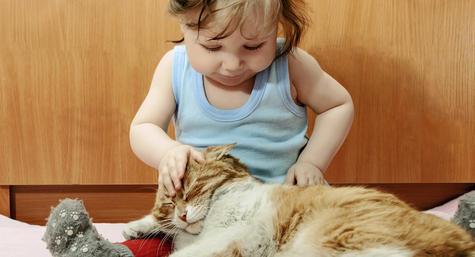 Девочка гладит кошку