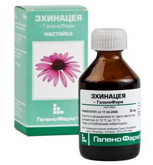 Эхинацея: настойка