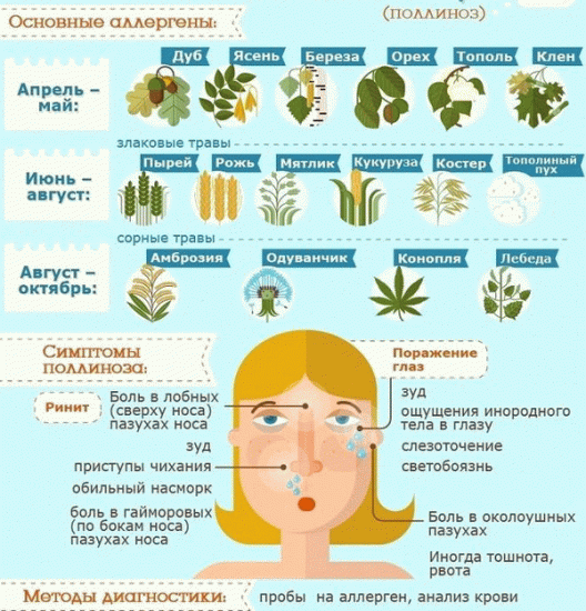 Основные аллергены