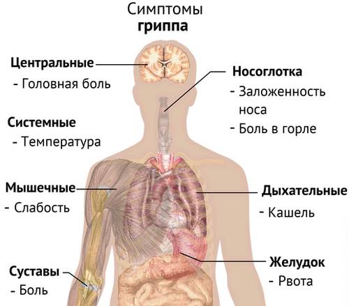 Симптомы гриппа
